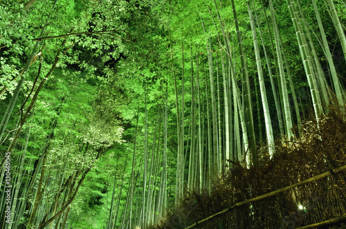 京都 嵐山の竹林