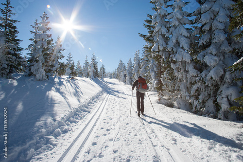 Na biegówkach przez Żmijowiec w Masywie Śnieżnika, Kotlina Kłodzka