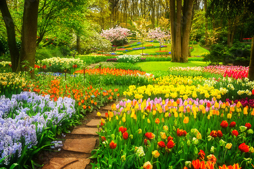 Colourful Tulips Flowerbeds and Stone Path in an Spring Formal Garden, retro toned