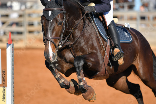 Rider on horse jumping over a hurdle during the equestrian event
