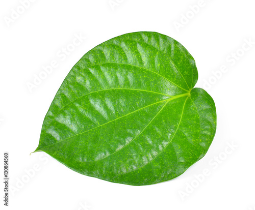 green betel leaf heart shape isolated on white background