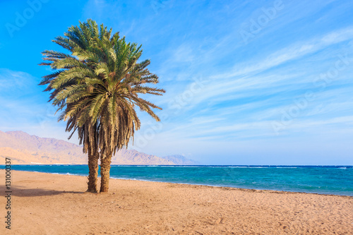 Dahab beach