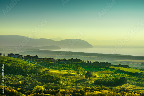 Maremma panorama. Countryside, sea and Elba. Tuscany Italy