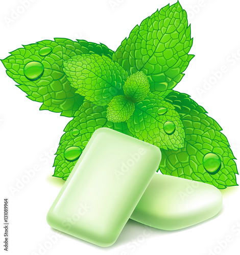 chewing gum with mint leaves