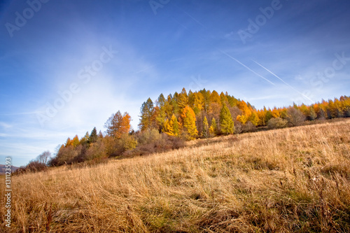 Słoneczny jesienny dzień w górskim mieście Muszyna. Sunny autumn day in the mountain in Muszyna - Poland. 