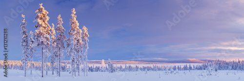 Snowy landscape in Finnish Lapland in winter at sunset