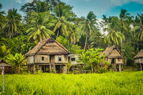 Houses in Palembe