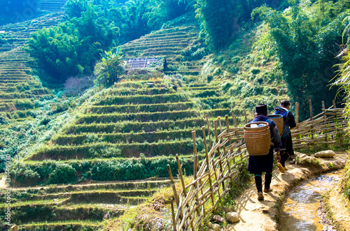 Randonnée minorité ethnique - rizières en terrasse - Sa Pa - Vietnam