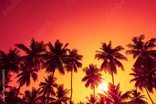 Palm trees silhouettes on tropical beach at summer warm vivid sunset time with clear sky and sun circle with rays