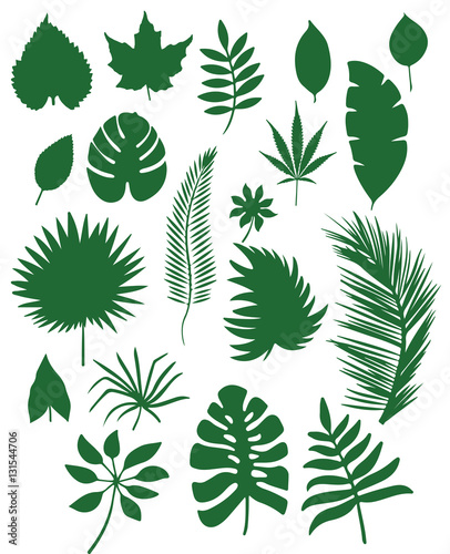 Set or different leafs vector