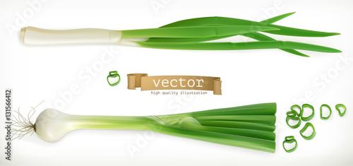 Green onion. Vegetable 3d vector icon