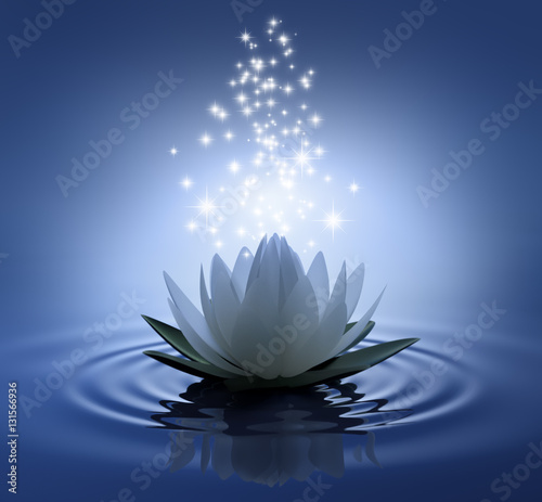 Lotusblüte auf blauem Wasser mit Sternen
