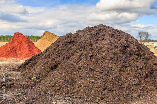 Black Mulch or Wood Chip Mound Mound of black mulch or wood chips use for landscaping top ground material and accents.