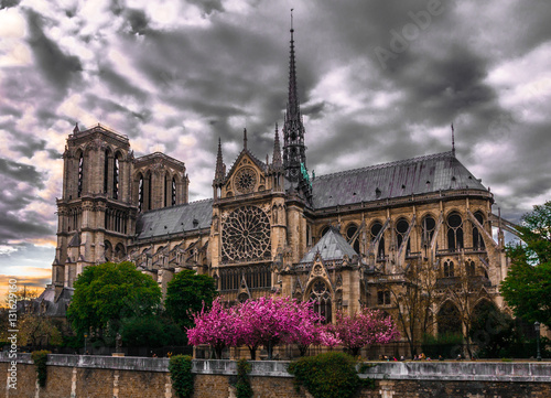 Notre-Dame la magnifique France Paris