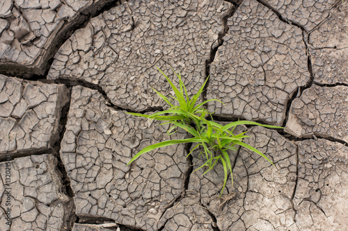 life and drought
