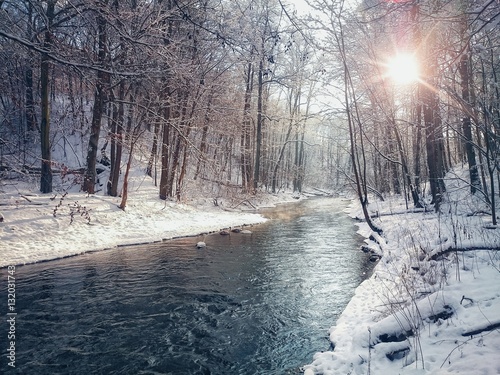 Winter river