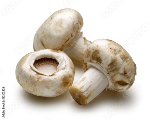 Mushroom and Two Mushroom