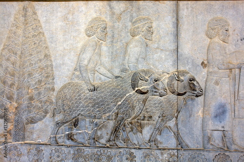 Relief in Persepolis - ceremonial capital of the Achaemenid Empire in Iran 