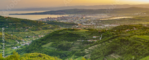 panorama of the surrounding area of Koper, Slovenia, vineyards