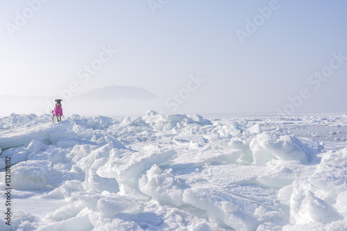 Icy sea in the far north. Lonely dog on ice