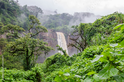 Beautiful hidden Ekom Waterfall deep in the tropical rain forest of Cameroon, Africa