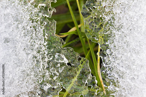 thaw and season change, global warming concept, grass ice background