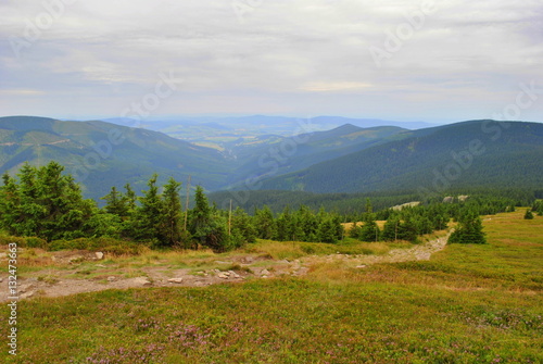 Pejzaż górski widziany ze Śnieżnika