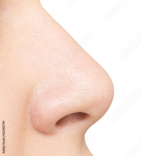 nose isolated on white