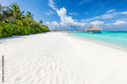 Szeroka piaszczysta plaża na tropikalnej wyspie na Malediwach. Palmy i wat