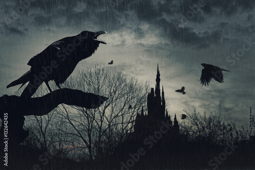 horror scene with a raven in front and castle at back under rain at dusk on blue background