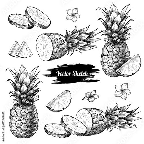 Vector pineapples hand drawn sketch with flowersf. Sketch vector tropical food illustration. Vintage style