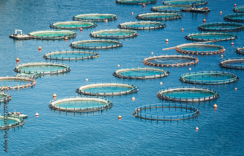 Fish farm in the sea