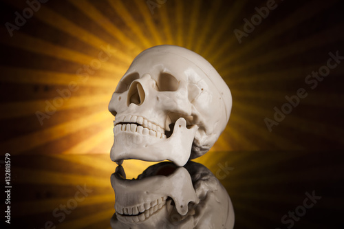 Ludzka czaszka