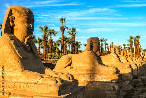 Sphinx Allee in Luxor