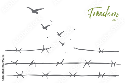 Vector hand drawn freedom concept sketch with broken barbed wire and flock of birds flying over it