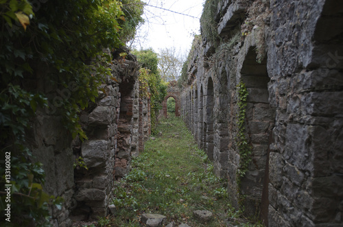 Castle ruins corridor overgrown covered in moss crass and ivy Ruthin Castle North wales UK