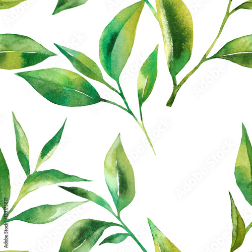 Floral seamless pattern with tea leaves. Green tea branch in hand drawn watercolor style. Tea background for paper, textile and wrapping