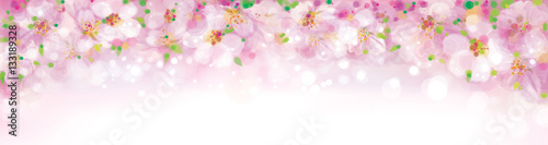 Vector blossoming sakura tree, pink bokeh banner.