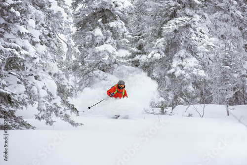 Off-piste skier ski forest freeride