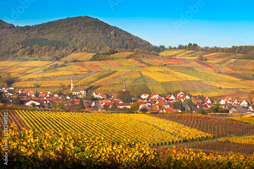 Village with vineyards at autumn, Pfalz, Germany
