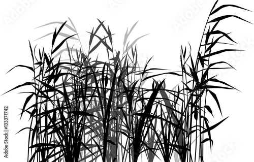 group of reed black and grey silhouettes on white