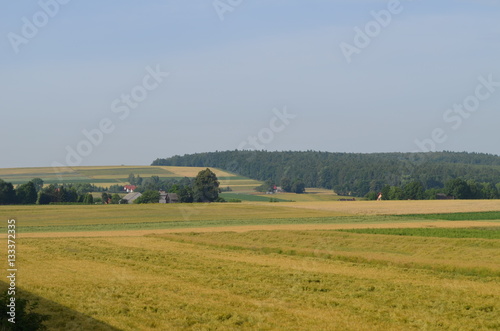 Krajobraz Małopolski/The landscape of Lesser Poland, Poland