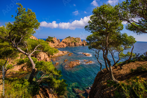 calanque marquesa à Tamariu