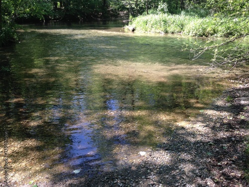 lanca sul fiume in primavera