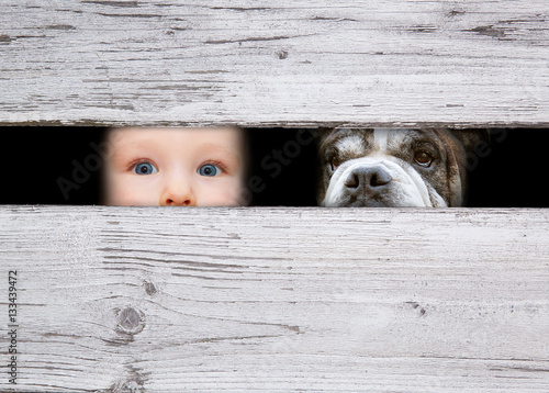 boy and dog