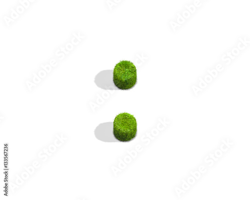 Grass colon punctuation mark from top angle with shadow on ground.