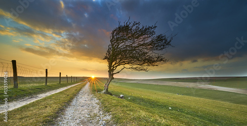 Winter view across the South Downs