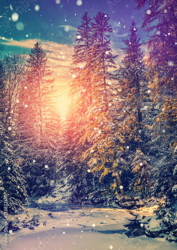 Wonderful winter landscape. snow covered pine tree over the mountain river under sunlight. colorful sky. wonderful, amazing view. christmas holiday concept. picturesque amazing scene. instagram effect