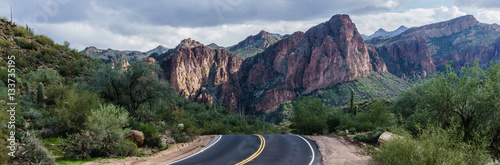 Beautiful Bush Highway Arizona, USA 