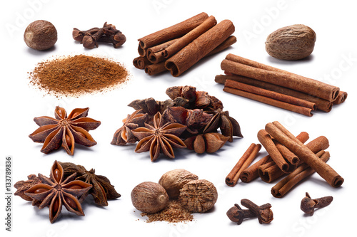 Set of Cinnamon, Badiam, Cloves, Nutmeg, paths